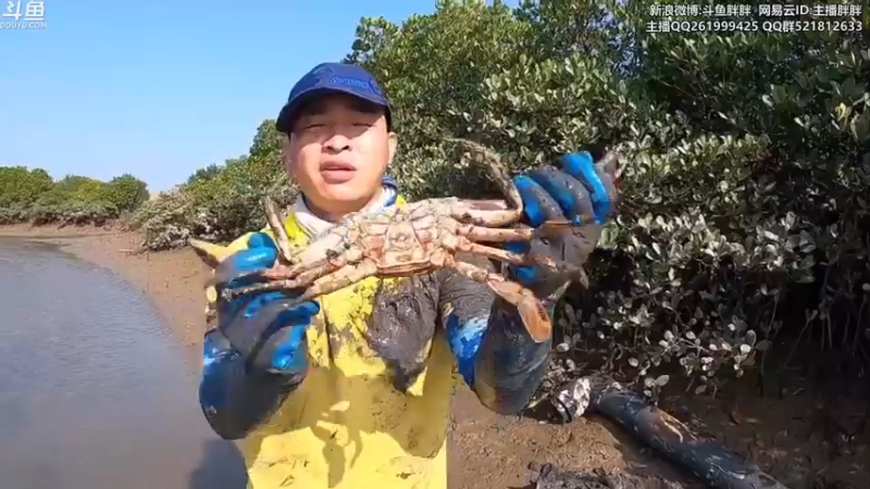 【2022-03-07 05点场】胖胖灬：胖胖OB：TES强啊，继续稳定北伐！