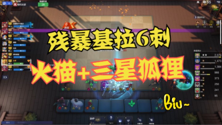 残忍！基拉6刺火猫+3星狐狸