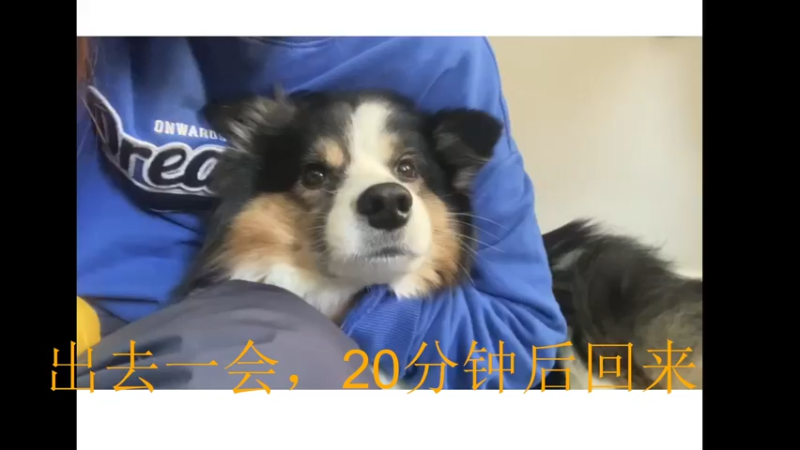 【2022-03-05 00点场】卷毛的时喜靓仔：为什么不四保一