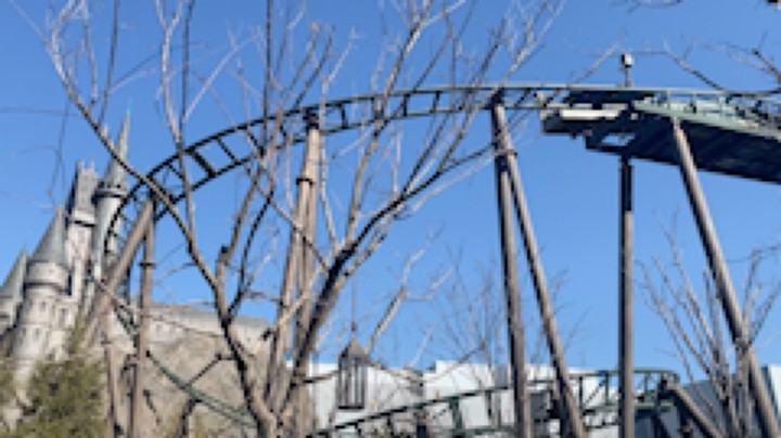 牛牛公主不怕困难发布了一个斗鱼视频2022-03-07