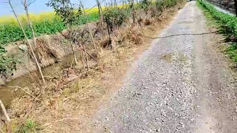 【2022-03-08 10点场】洪湖小肖：荒岛 盲盒 生活第一天 337852