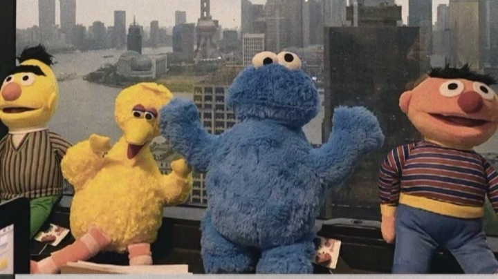 低分崽
