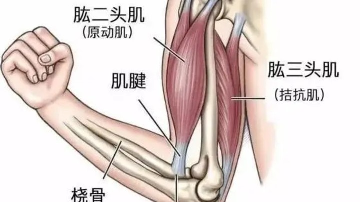 今天是召唤师峡谷容不下我的一天001