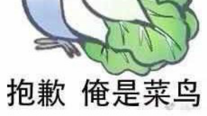 俺是菜鸟