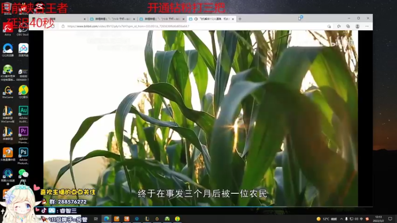【2022-03-02 12点场】睿智三：彗星风女才是真的快乐！！！
