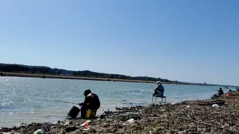 【2022-03-08 11点场】中华户外钓鱼：斧头湖野钓板鲫