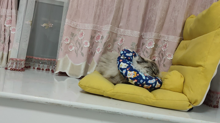 111