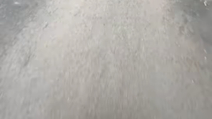 神经蛙708119发布了一个斗鱼视频2022-03-08