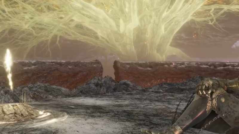 【2022-03-07 14点场】布鲁斯菲尔：80小时还未烧树 事无巨细的探索仍在继续