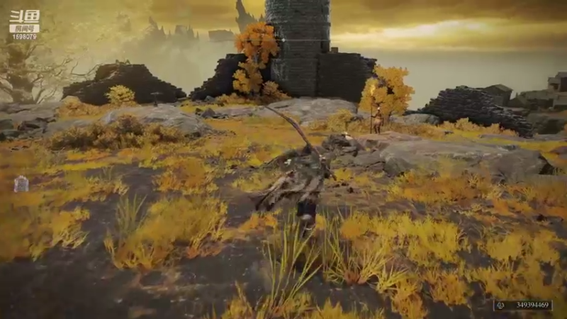 【2022-03-07 17点场】雏兽：艾尔登法环二周目