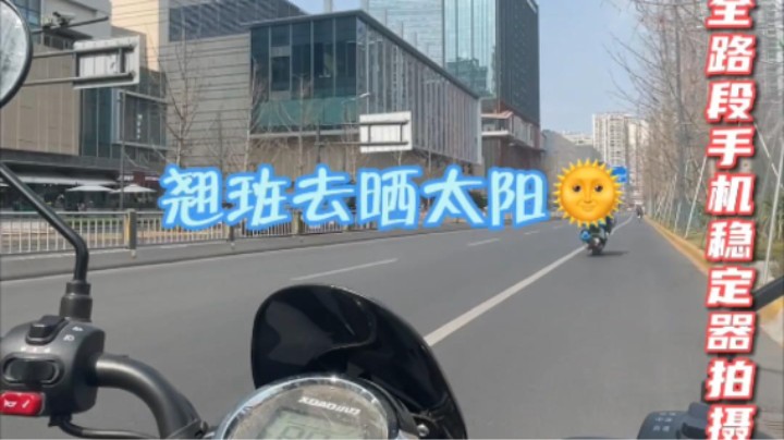 我成这条街上最闪亮的崽了？