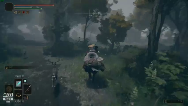 【2022-03-08 23点场】果小果是个弟弟：果小果：节日快乐~