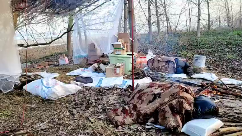 【2022-03-09 07点场】洪湖小肖：荒岛 盲盒 生活第二天 337852