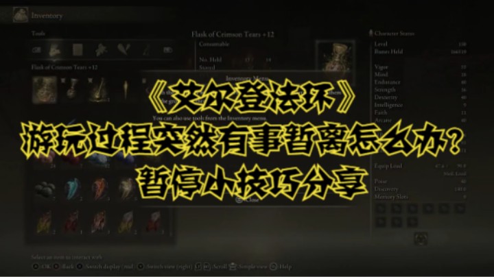 《艾尔登法环》游玩过程突然有事暂离怎么办？暂停小技巧分享