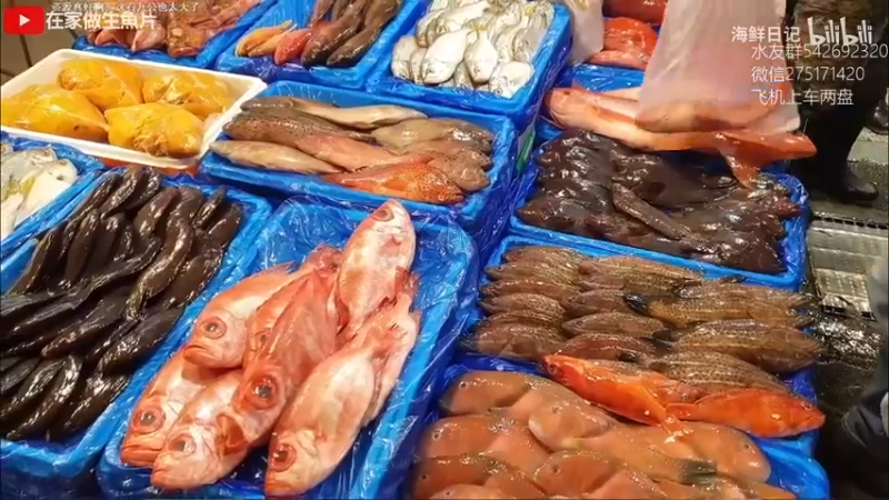 【2022-03-09 13点场】小粥泥浆：关键词:相位巫师之刃 版本答案!!