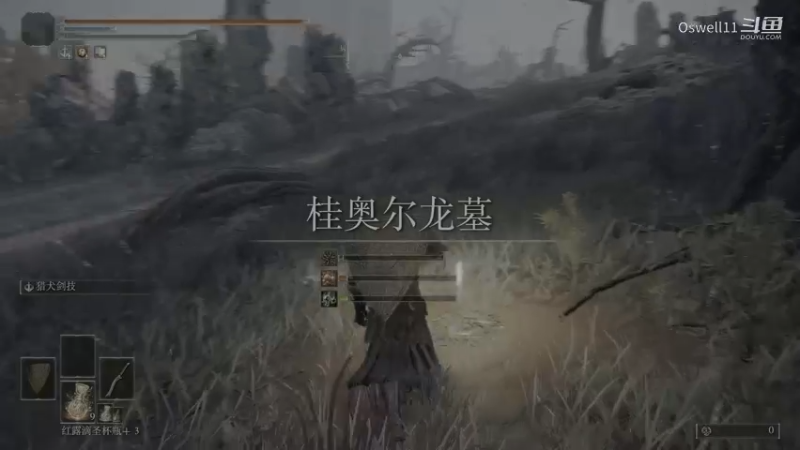 飞龙 桂雷尔