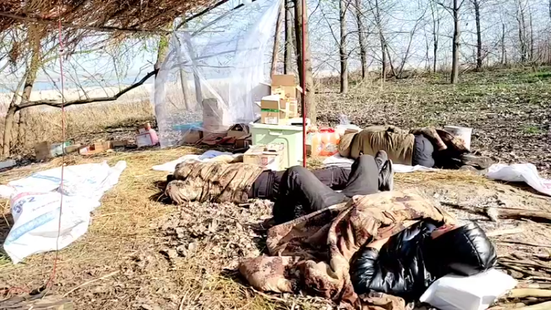 【2022-03-09 09点场】洪湖小肖：荒岛 盲盒 生活第二天 337852