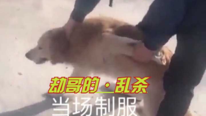 无限火力的劫乱杀