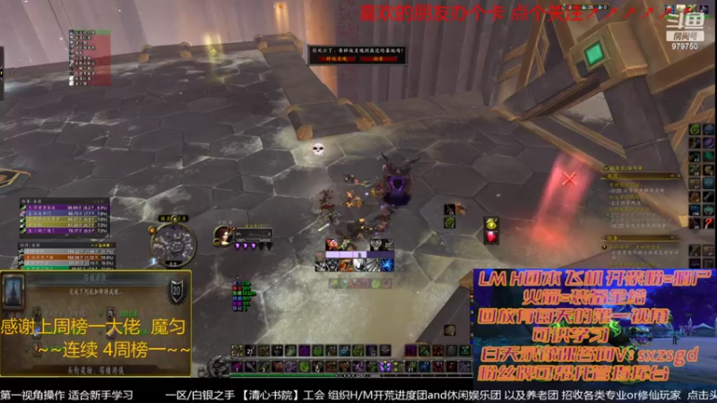 【2022-03-08 15点场】三凯1986：新团本来了 晚上20点依旧LM带新