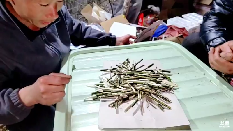 【2022-03-09 21点场】洪湖小肖：荒岛 盲盒 生活第二天 337852