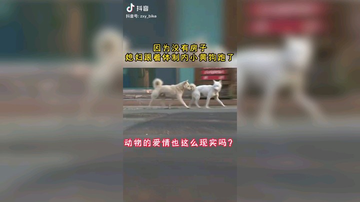 一句没说人，处处都是人味