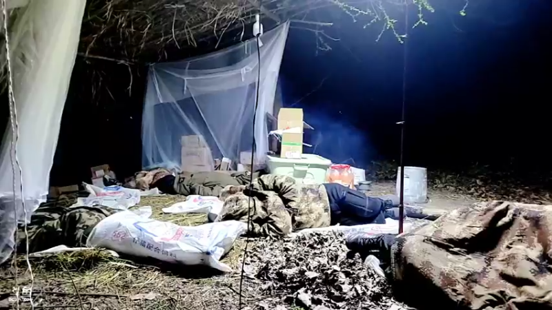 【2022-03-09 04点场】洪湖小肖：荒岛 盲盒 生活第二天 337852