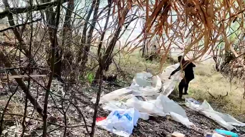 【2022-03-09 13点场】洪湖小肖：荒岛 盲盒 生活第二天 337852