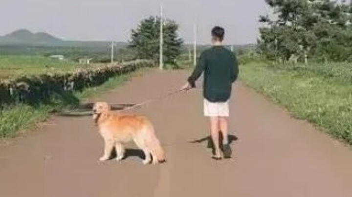 一人一狗，浪迹天涯。