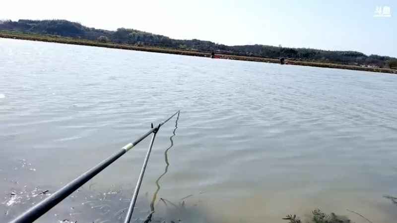 【2022-03-09 09点场】中华户外钓鱼：斧头湖野钓板鲫