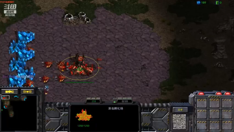 Zerg Terran 一打一造娱乐局 A