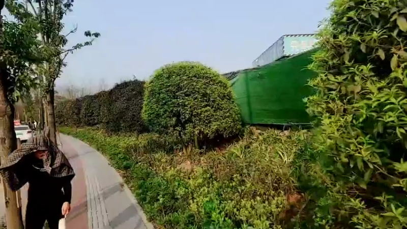 【2022-03-10 17点场】小鱼小鱼吃虾米：我来户外了