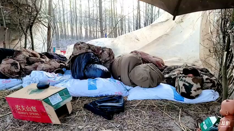 【2022-03-10 07点场】洪湖小肖：荒岛 盲盒 生活第三天 337852