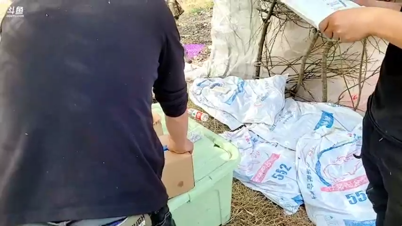 【2022-03-10 15点场】洪湖小肖：荒岛 盲盒 生活第三天 337852