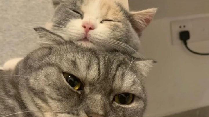 只为更好的技术