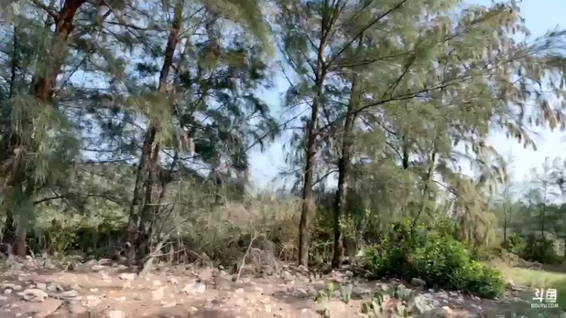 【2022-03-10 14点场】主播阿郎：环海南岛骑行day3