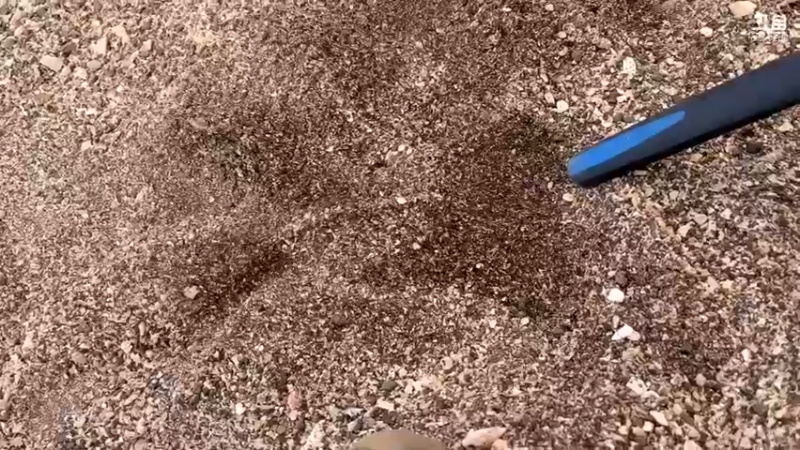 【2022-03-10 10点场】主播阿郎：环海南岛骑行day3