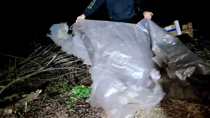 【2022-03-10 03点场】洪湖小肖：荒岛 盲盒 生活第三天 337852