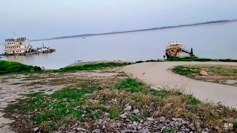 【2022-03-11 18点场】洪湖小肖：荒岛 盲盒 生活第四天 337852