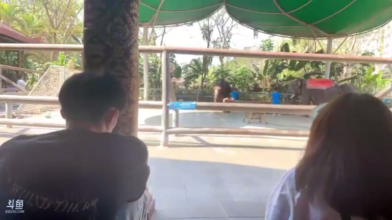 【2022-03-10 14点场】douyu小漠：西双版纳的第二天