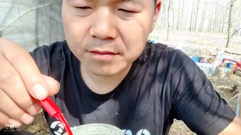 【2022-03-11 14点场】洪湖小肖：荒岛 盲盒 生活第四天 337852