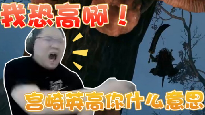 【PDD】恐高症怕是治不好了，PDD：宫崎英高你什么意思啊？