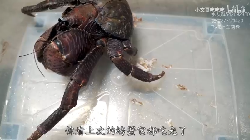 【2022-03-11 16点场】小粥泥浆：关键词:相位巫师之刃 版本答案!!