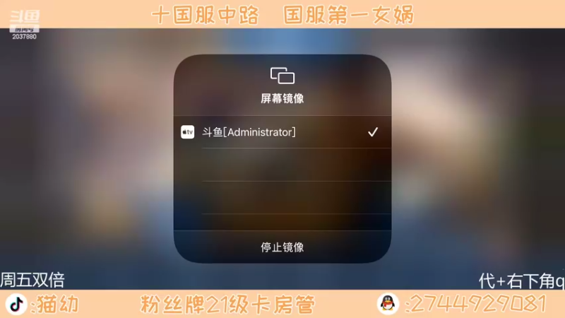 【2022-03-11 12点场】猫幼zzz：（todaytwo倍）恨自己不够强唉唉唉