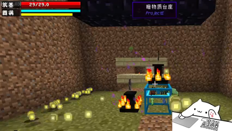 【2022-03-10 21点场】暗夜喵叽不能撸：2022年喵叽养成计划，开始！