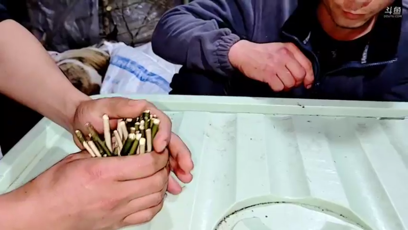 【2022-03-10 23点场】洪湖小肖：荒岛 盲盒 生活第三天 337852