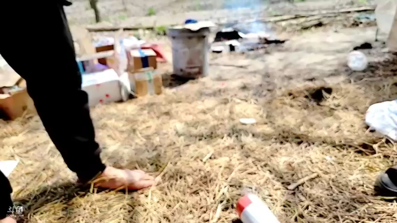 【2022-03-11 12点场】洪湖小肖：荒岛 盲盒 生活第四天 337852