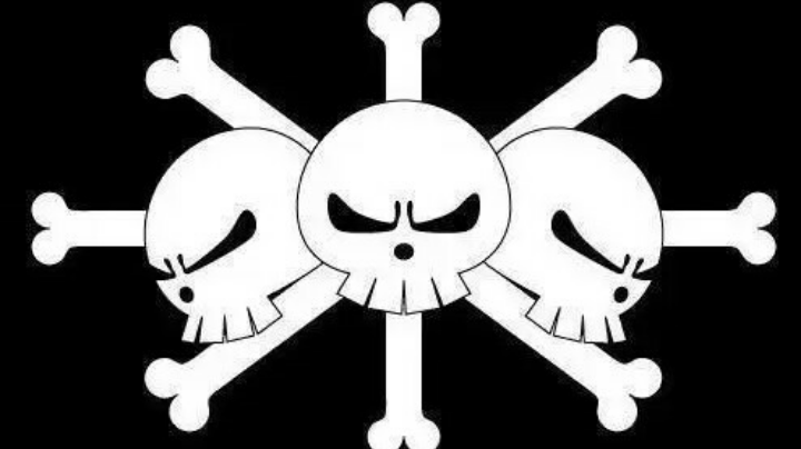 航海王热血航线