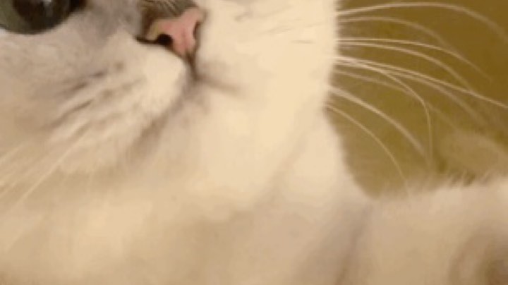 2直播回看