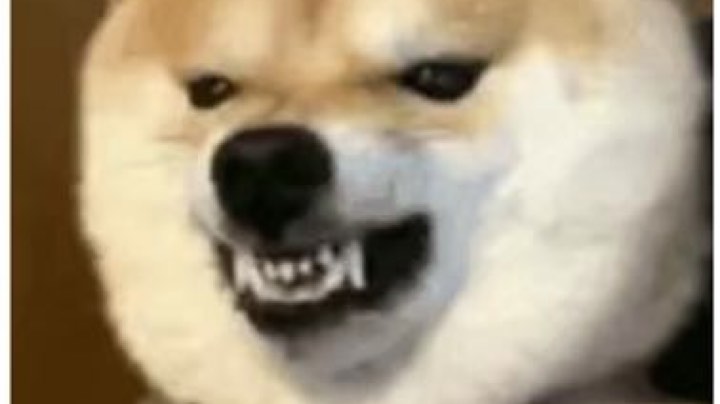 3.10（1）