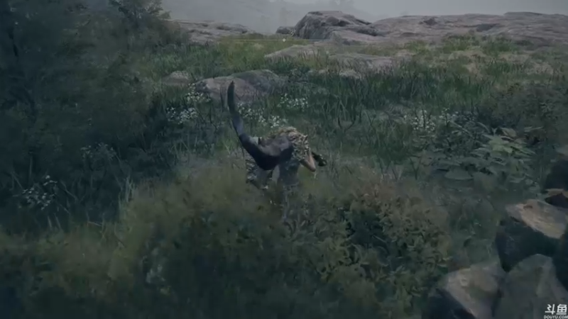 【2022-03-12 16点场】猫叔灬灬：【猫叔】艾尔登法环 试试一命通关？~~~